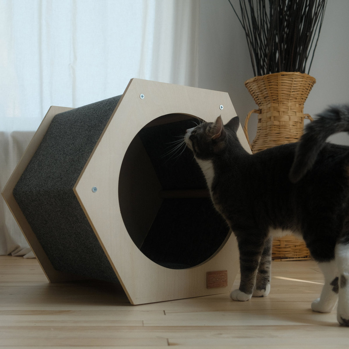 The Hexagone Scratchable Cat House-4