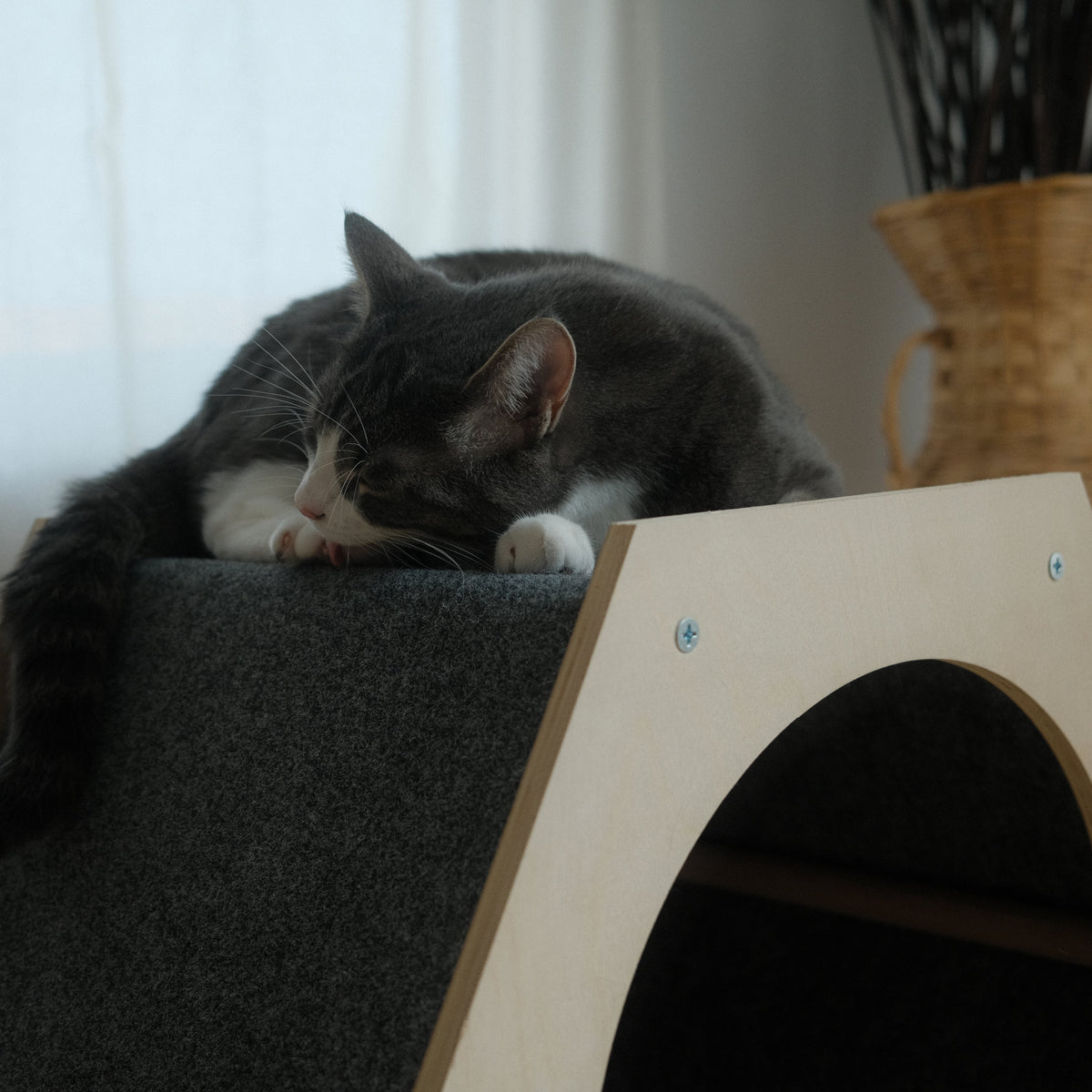 The Hexagone Scratchable Cat House-2