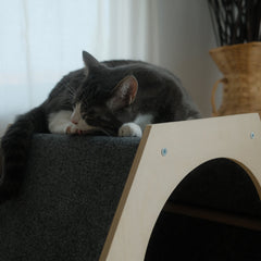The Hexagone Scratchable Cat House-2