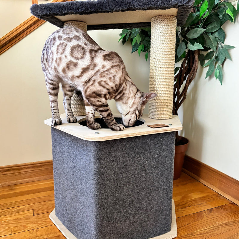 The Lodge Hideout - 2-Level Cat Tree-3