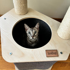 The Lodge Hideout - 2-Level Cat Tree-4