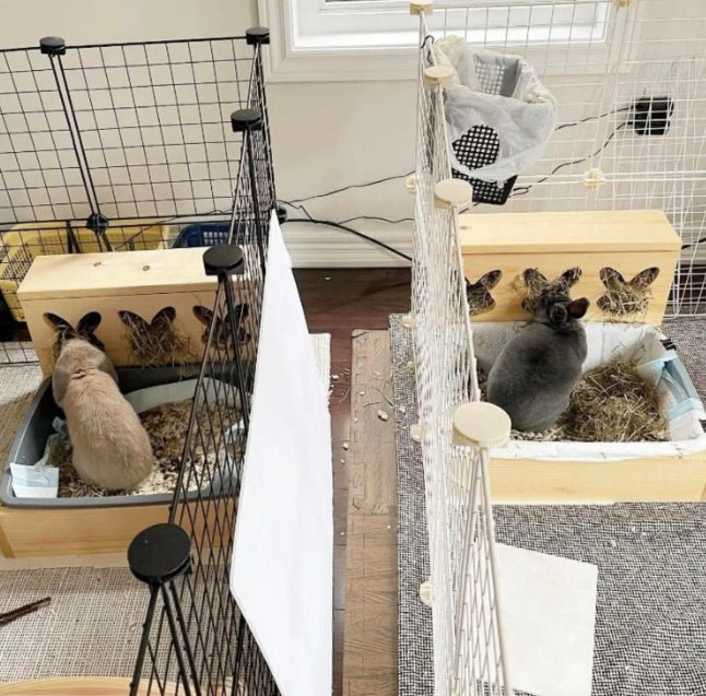 "Triple Bunny Head" Hay Feeder & Litter Box-1