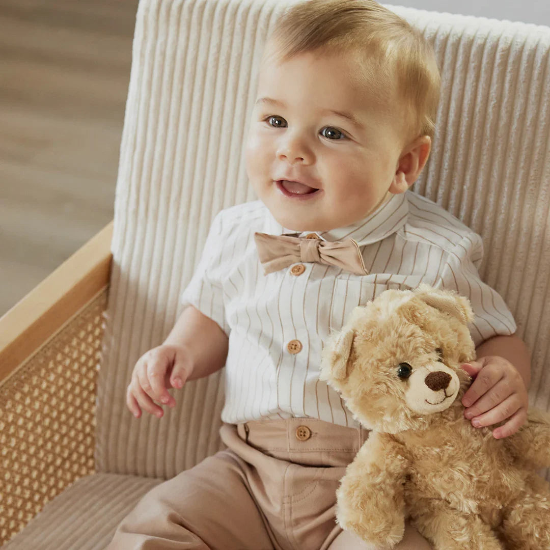 Striped Shirt and Pants 3pc Poplin Set | Petit Lem-1