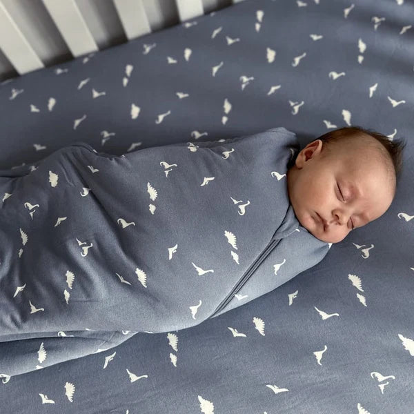 Swaddle Sleep Sack 1.0 TOG | Duvet Bamboo | günamüna | Dino-2