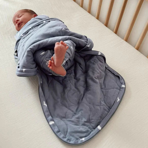 Swaddle Sleep Sack 1.0 TOG | Duvet Bamboo | günamüna | Dino-1