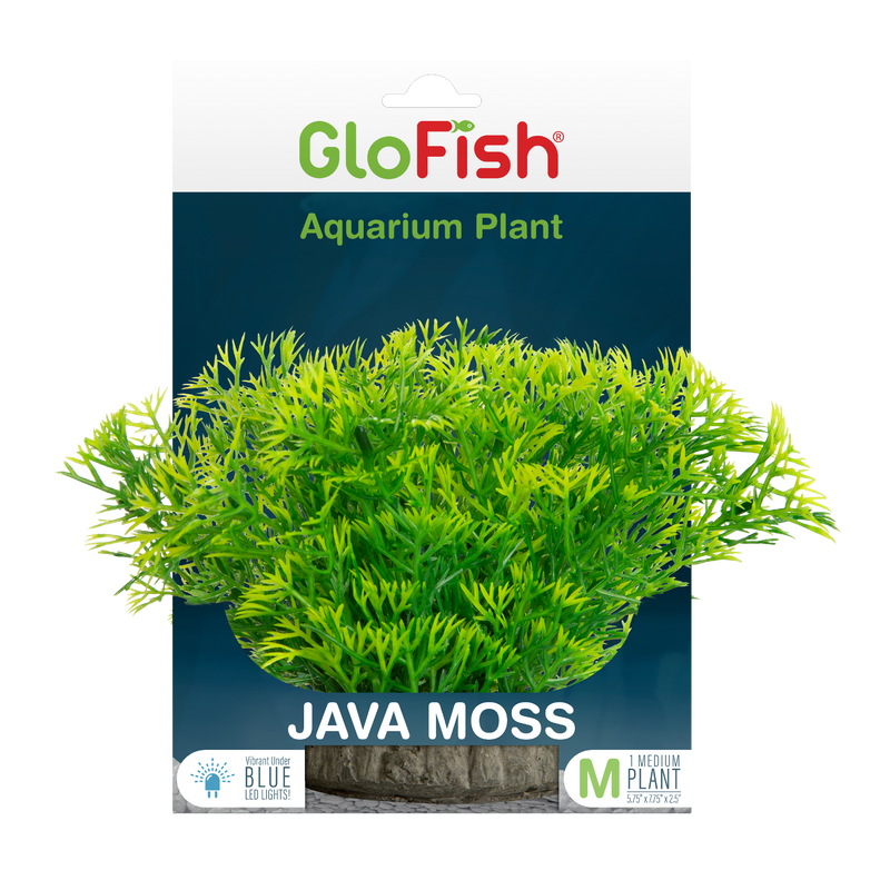 GloFish Ornament JavaMoss-1