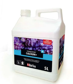Red Sea Foundation Calcium+-2