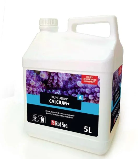 Red Sea Foundation Calcium+-2