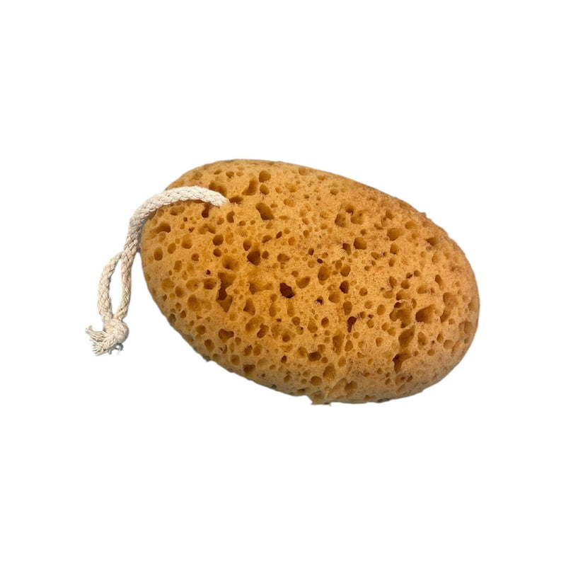 Hanging Sponge-1