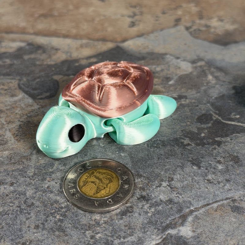 Chunky Turtle-3