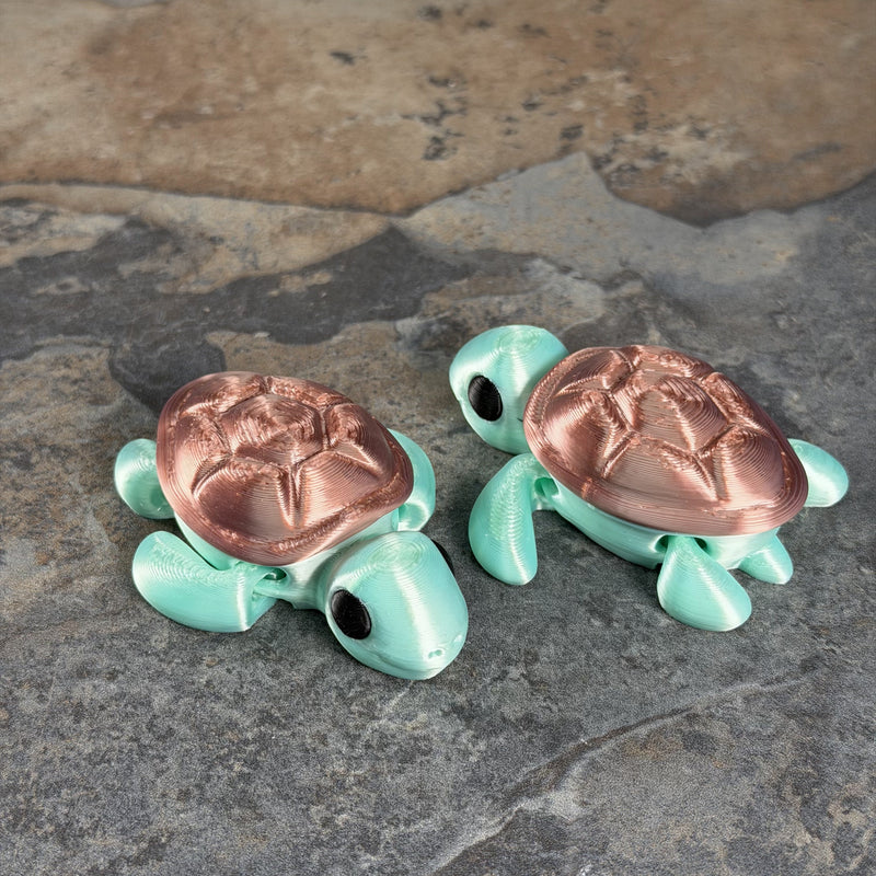 Chunky Turtle-5