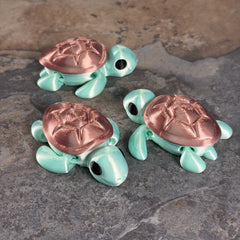 Chunky Turtle-2
