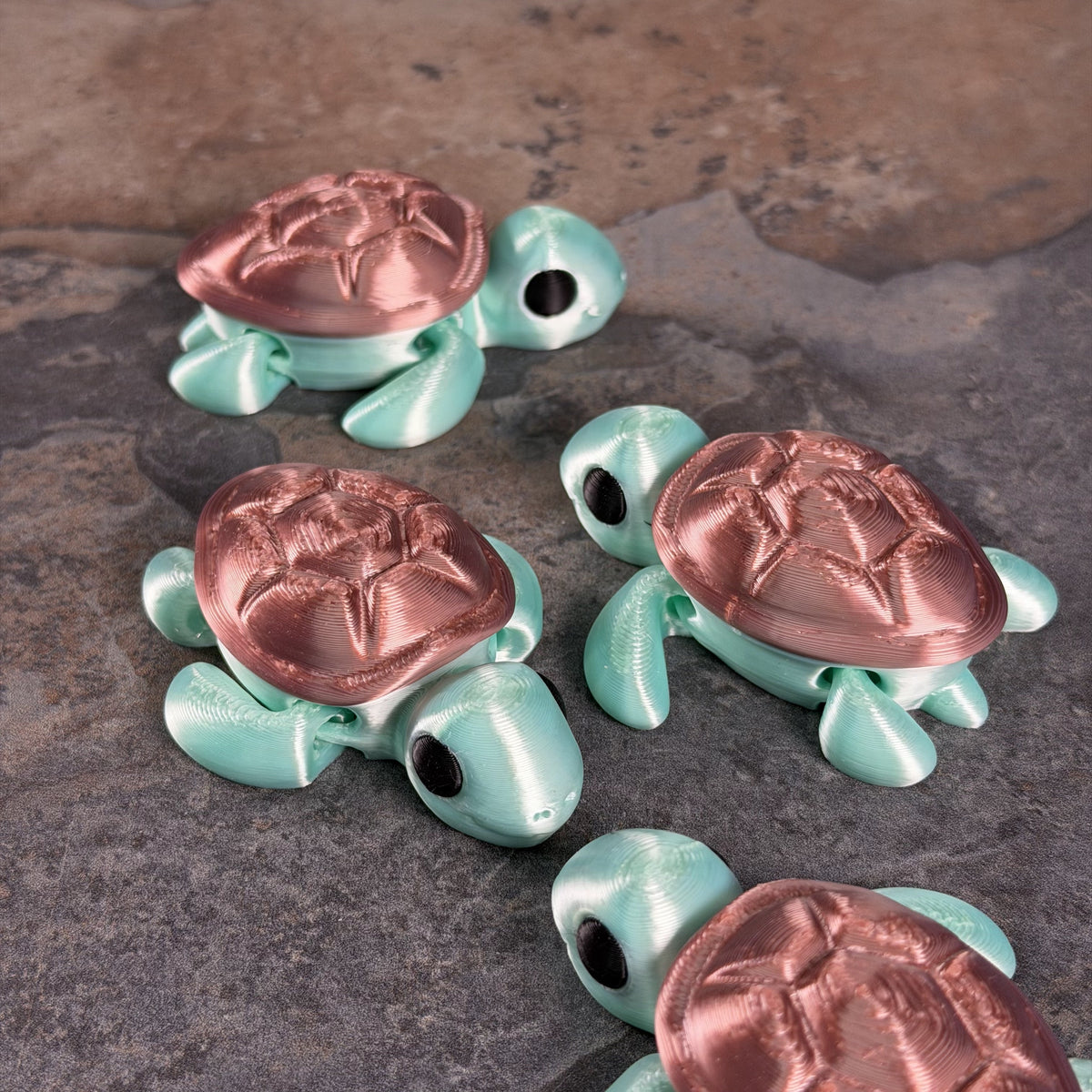 Chunky Turtle-6