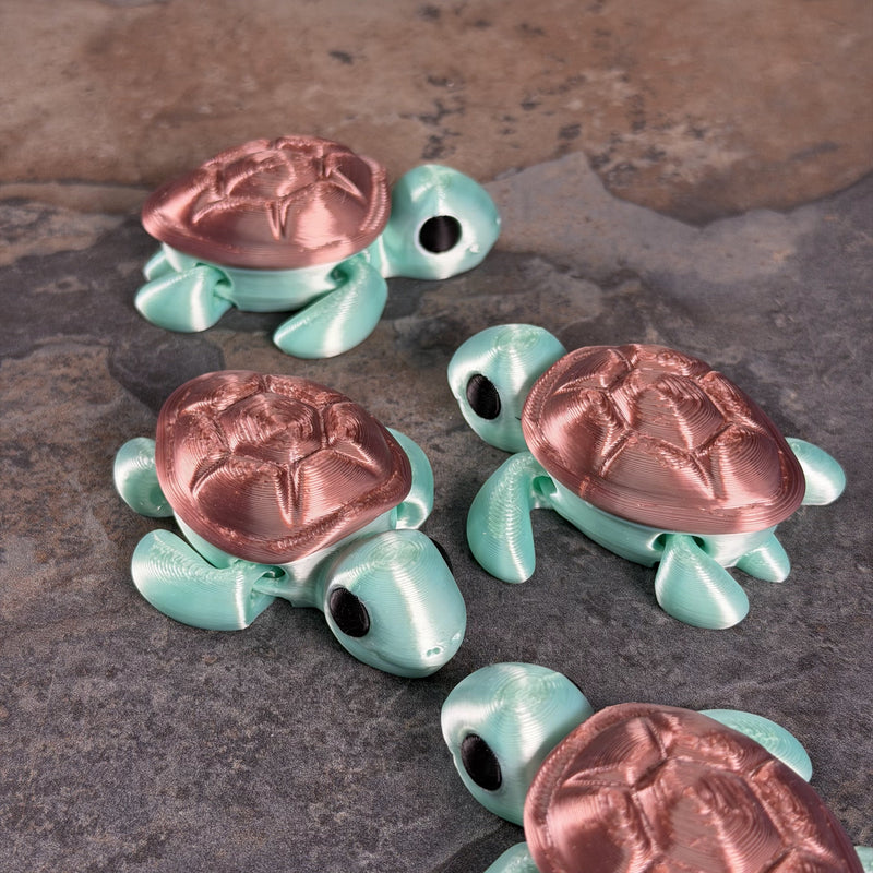 Chunky Turtle-6