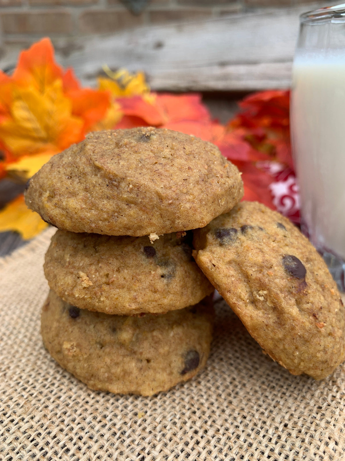 Organic Rustic Cookie Mix-5