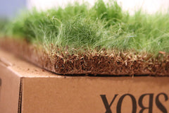 Real Grass Box for Rabbits – Natural Rabbit Potty Solution-4