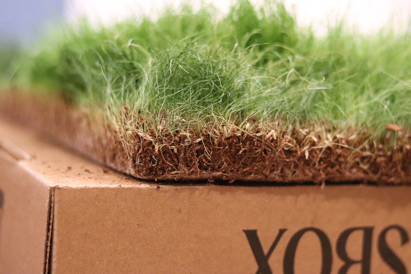 Real Grass Box for Rabbits – Natural Rabbit Potty Solution-4