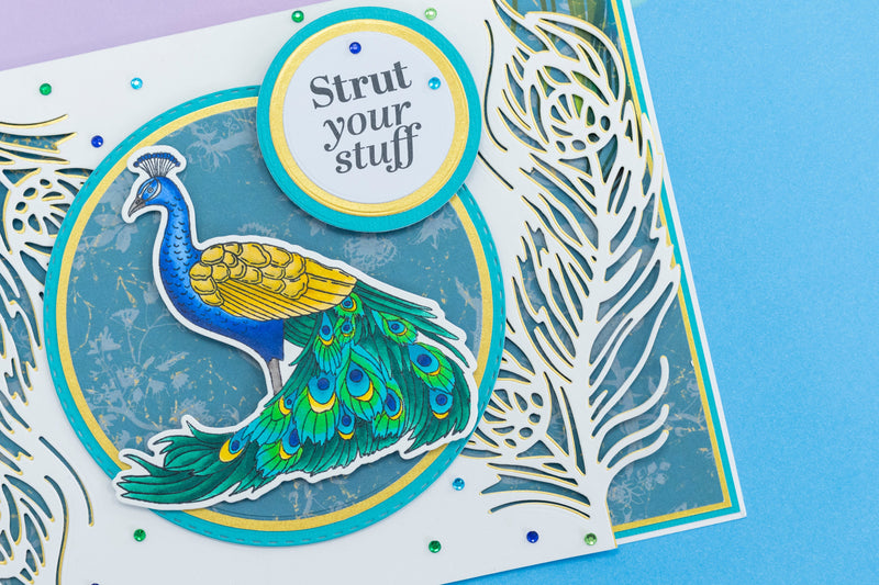 Graceful Plumes Stamp & Die - Proud Peacock -5