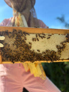 MUSHROOM AND HONEY FACE MASK-2