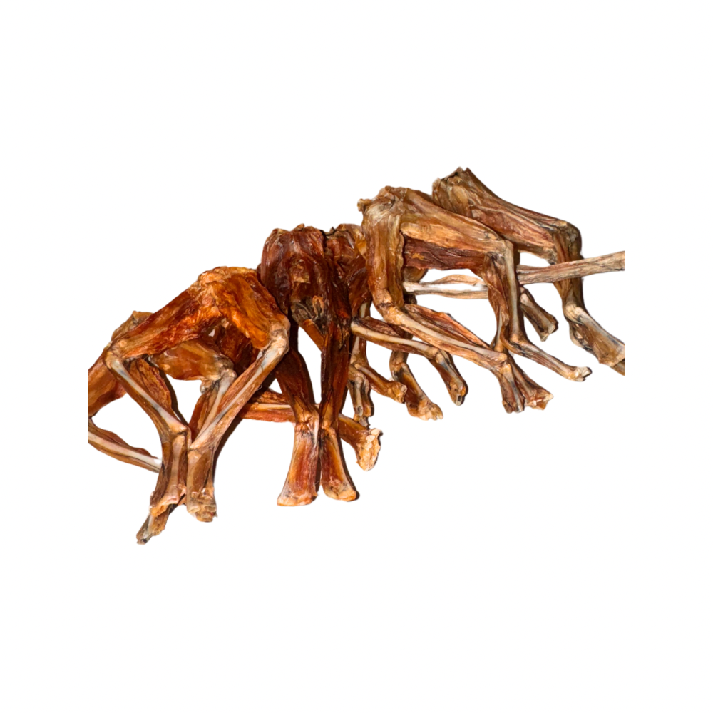 Frog Legs-3