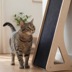 Inclined Wall & Floor Cat Scratcher-3