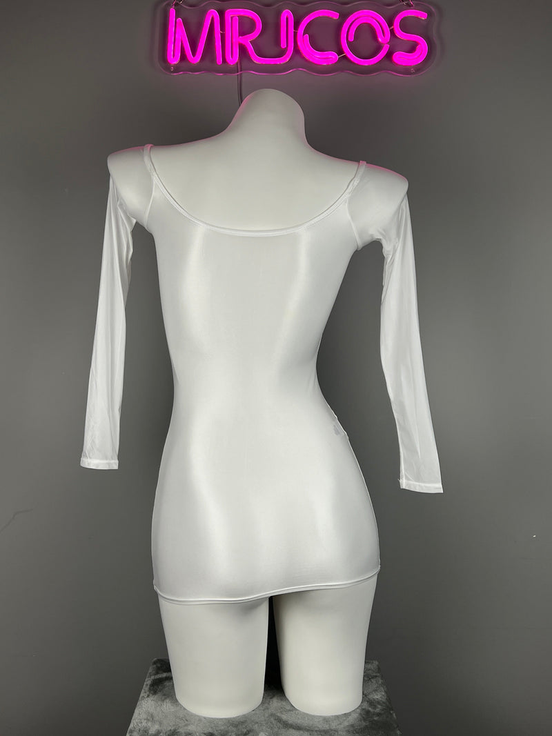 Long Sleeves Sheer See Through Short Dress Lingerie Set with Pantyhose-9
