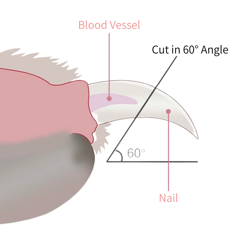 Noba LED Nail Clipper for Cats & Dogs-8