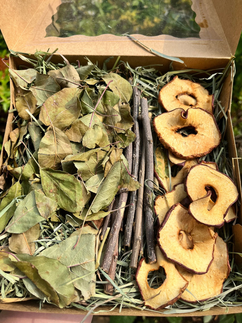 Apple Orchard Forage Box-1