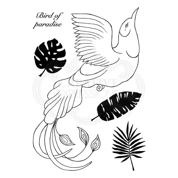 Woodware Clear Singles Paradise Bird-1