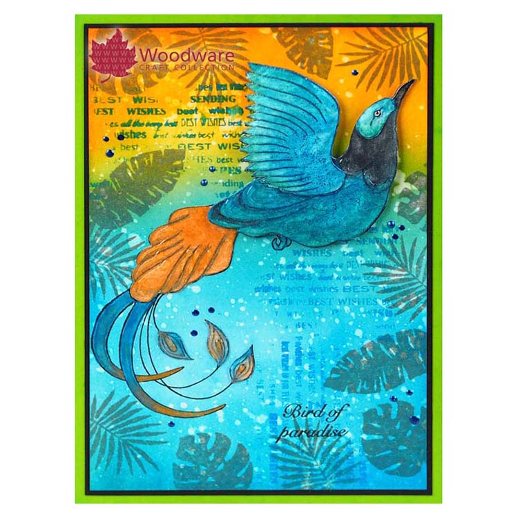 Woodware Clear Singles Paradise Bird-2