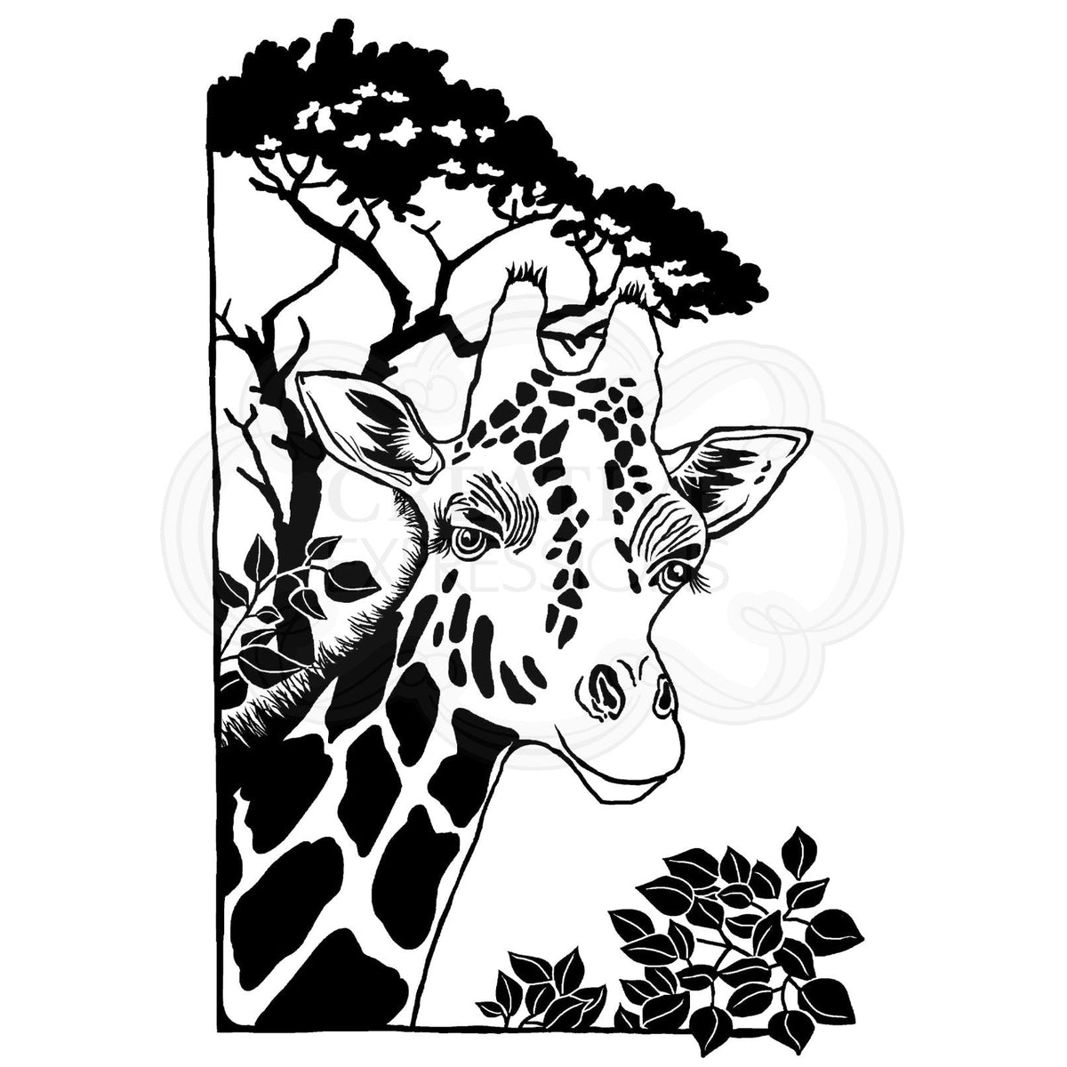 Woodware Clear Singles Lino Cut - Mr G Raff 4 in x 6 in Stamp-3