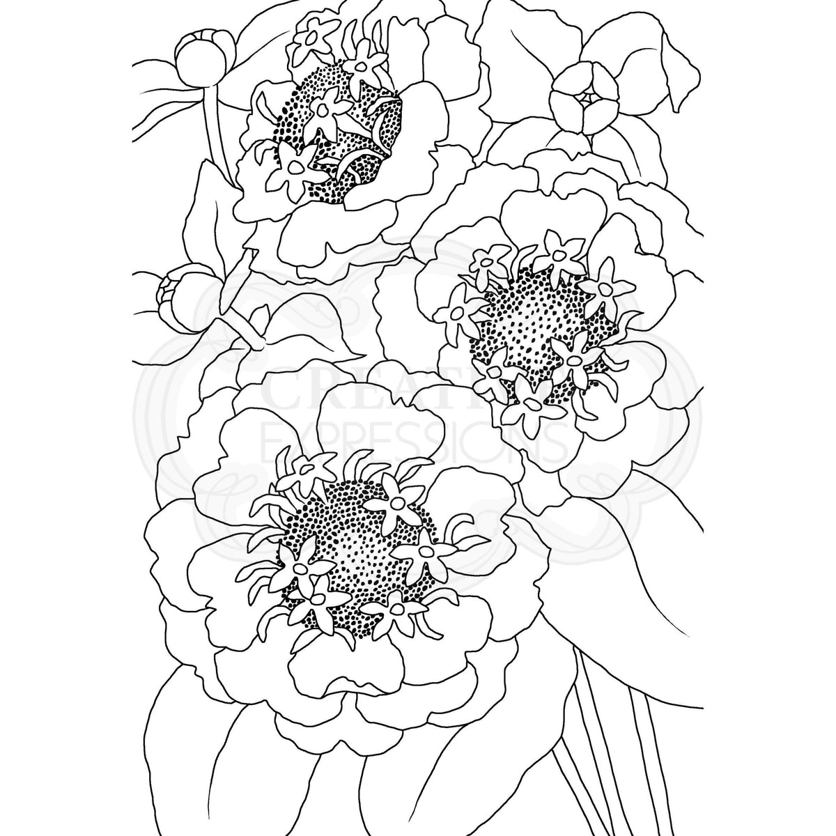 Woodware Clear Singles Zinnia 4 in x 6 in Stamp-3