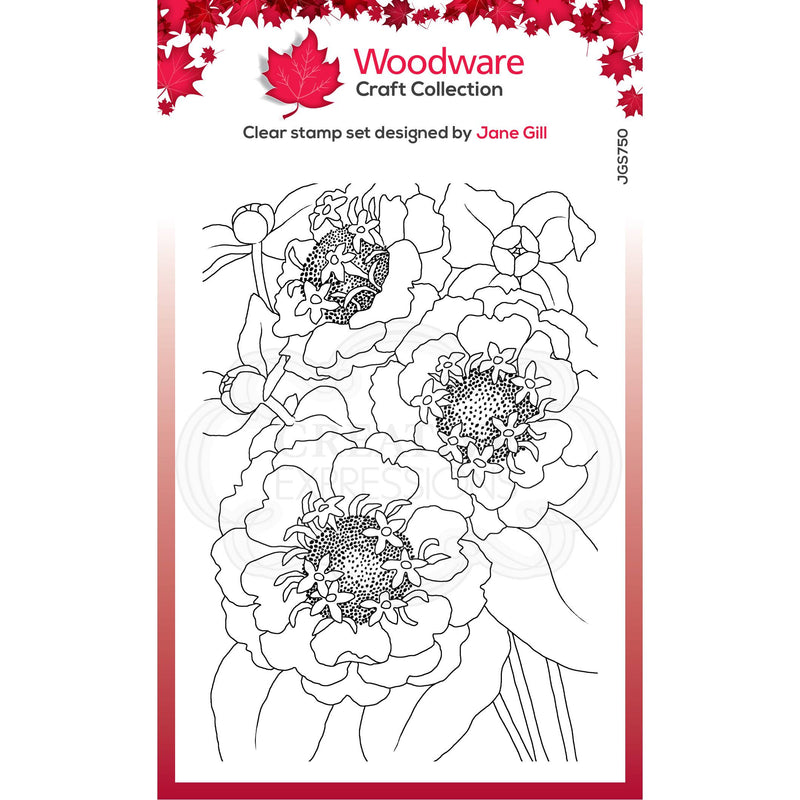 Woodware Clear Singles Zinnia 4 in x 6 in Stamp-1