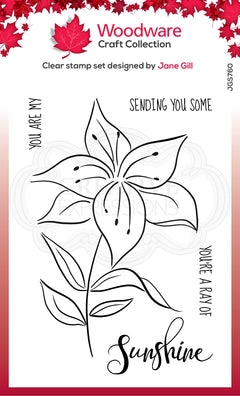 Woodware Clear Singles Lily Sketch 4 in x 6 in Stamp-1