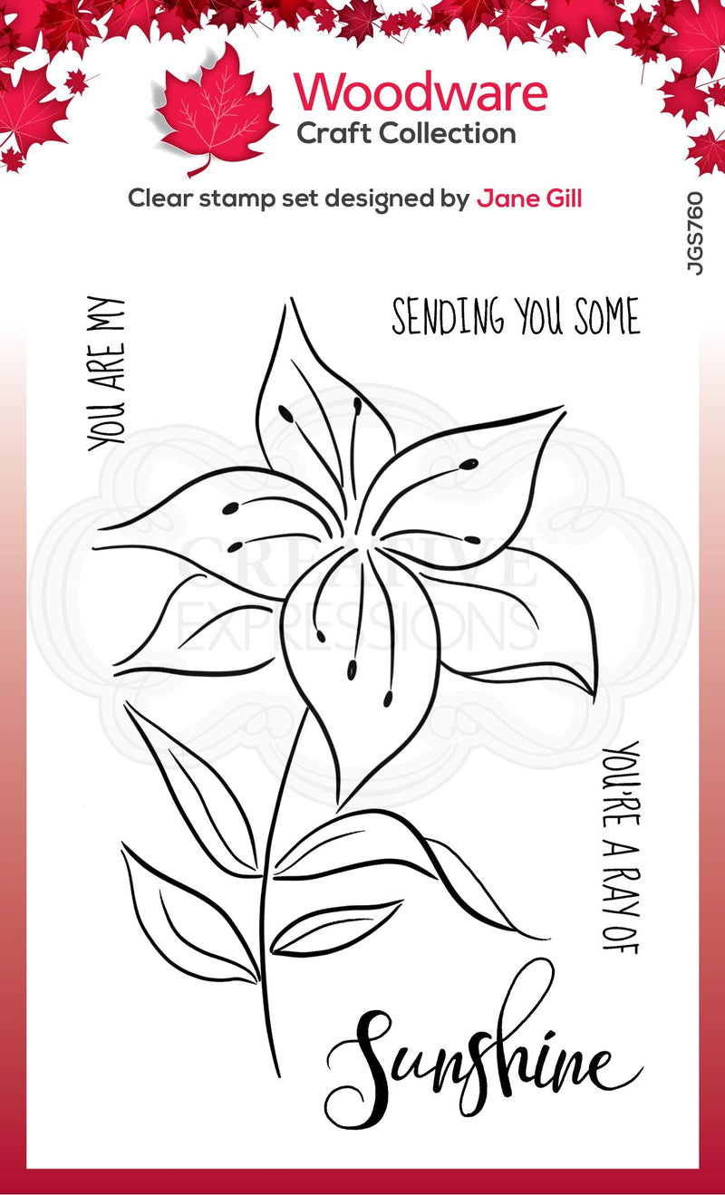 Woodware Clear Singles Lily Sketch 4 in x 6 in Stamp-1