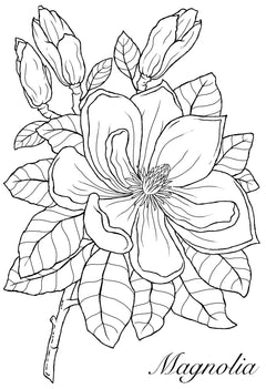 Woodware Clear Singles Magnolia 4 in x 6 in Stamp-4