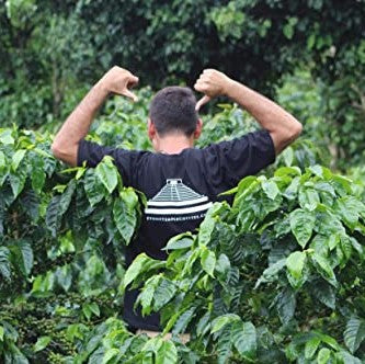 Honduran House Roast - Ground, Medium Roast, Certified Organic OCIA/ Fairtade Coffee 1lb/454g-8