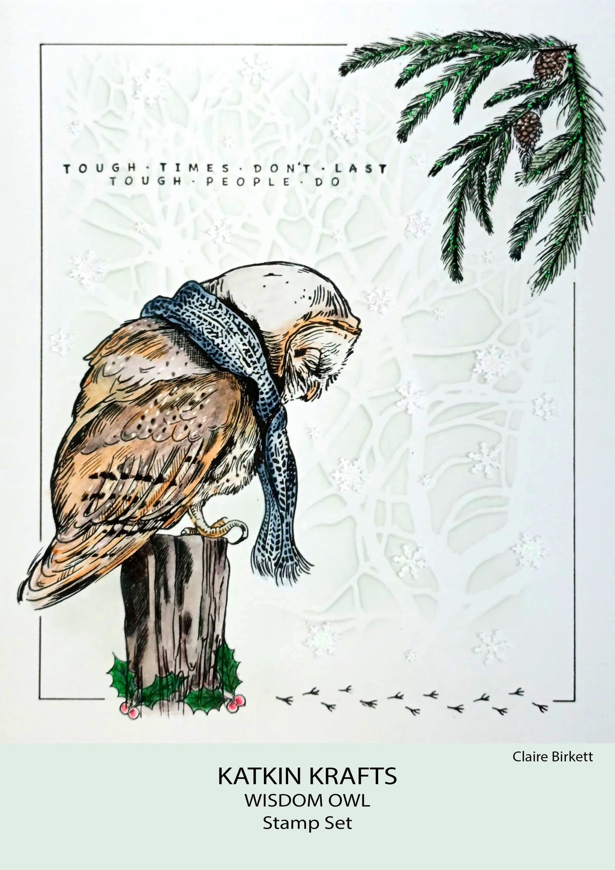 Katkin Krafts Wisdom Owl 6 in x 8 in Clear Stamp Set-3