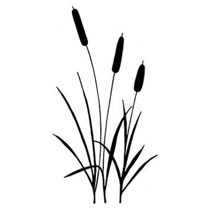 Lavinia Stamp - Bulrushes-1