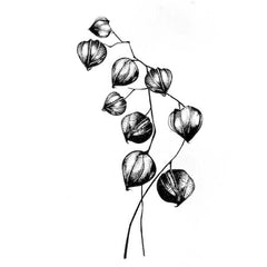 Lavinia Stamps - Chinese Lantern-1