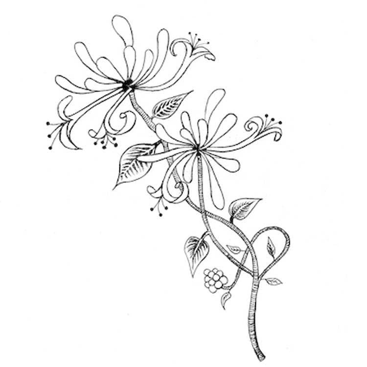 Lavinia Stamps - Honeysuckle-1