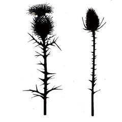 Lavinia Stamps - Thistles-1