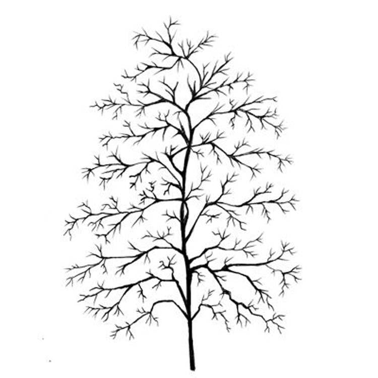 Lavinia Stamp - Fern Leaf-1