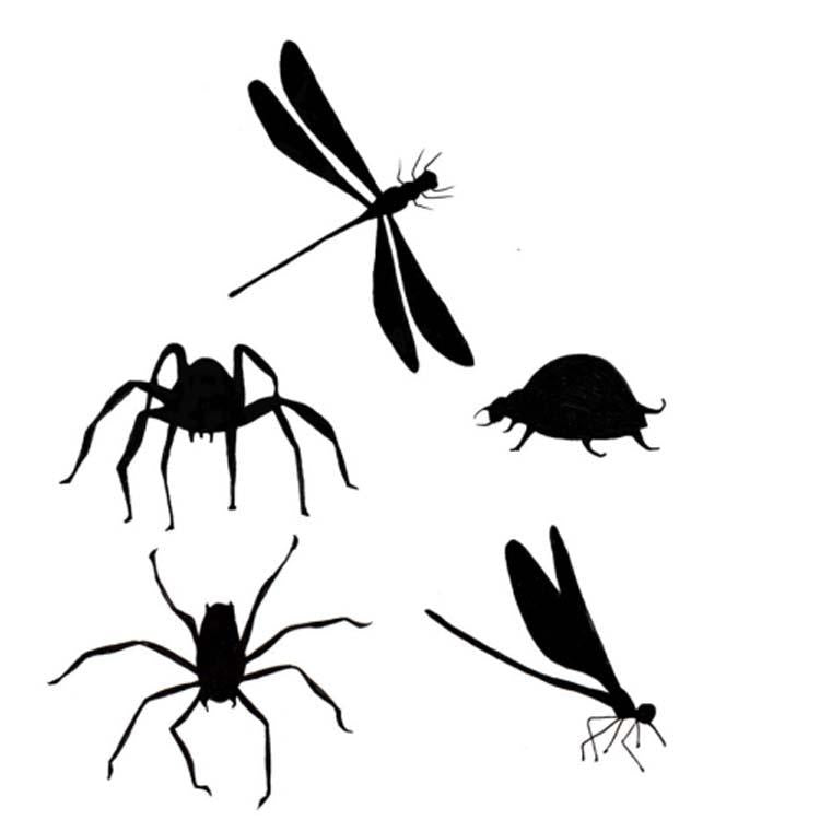 Lavinia Stamp - Bugs-1