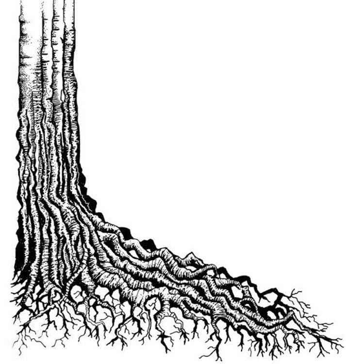 Lavinia Stamp -Tree Root-1