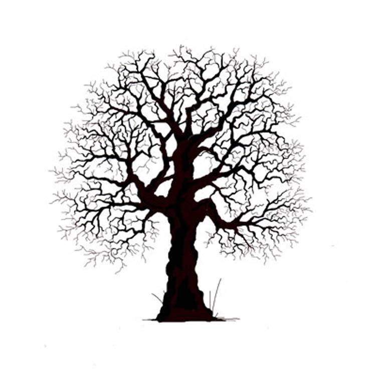 Lavinia Stamp - Oak Tree-1