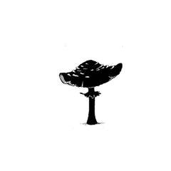 Lavinia Stamp - Toadstool Miniature-1