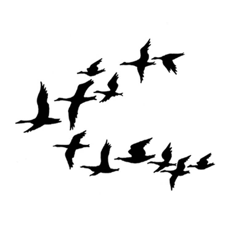 Lavinia Stamp - Ducks-1