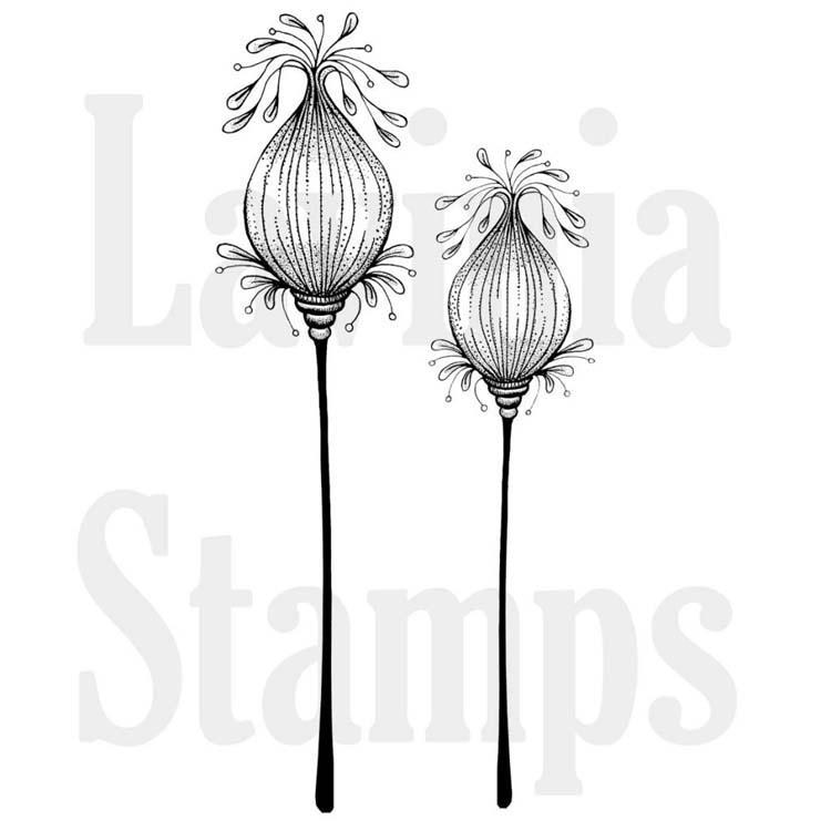 Lavinia Stamp - Fairy Pods-1