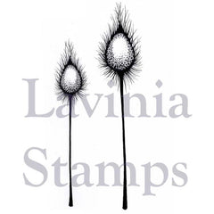 Lavinia Stamp - Dragon Pods-1